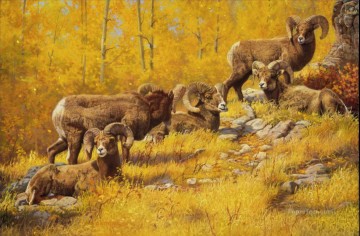 sheep 11 Oil Paintings